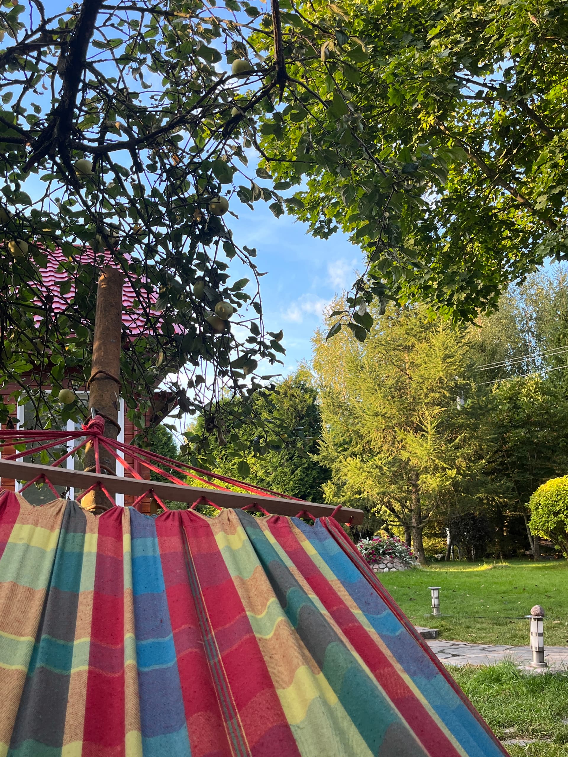 Colorful hammock in the garden