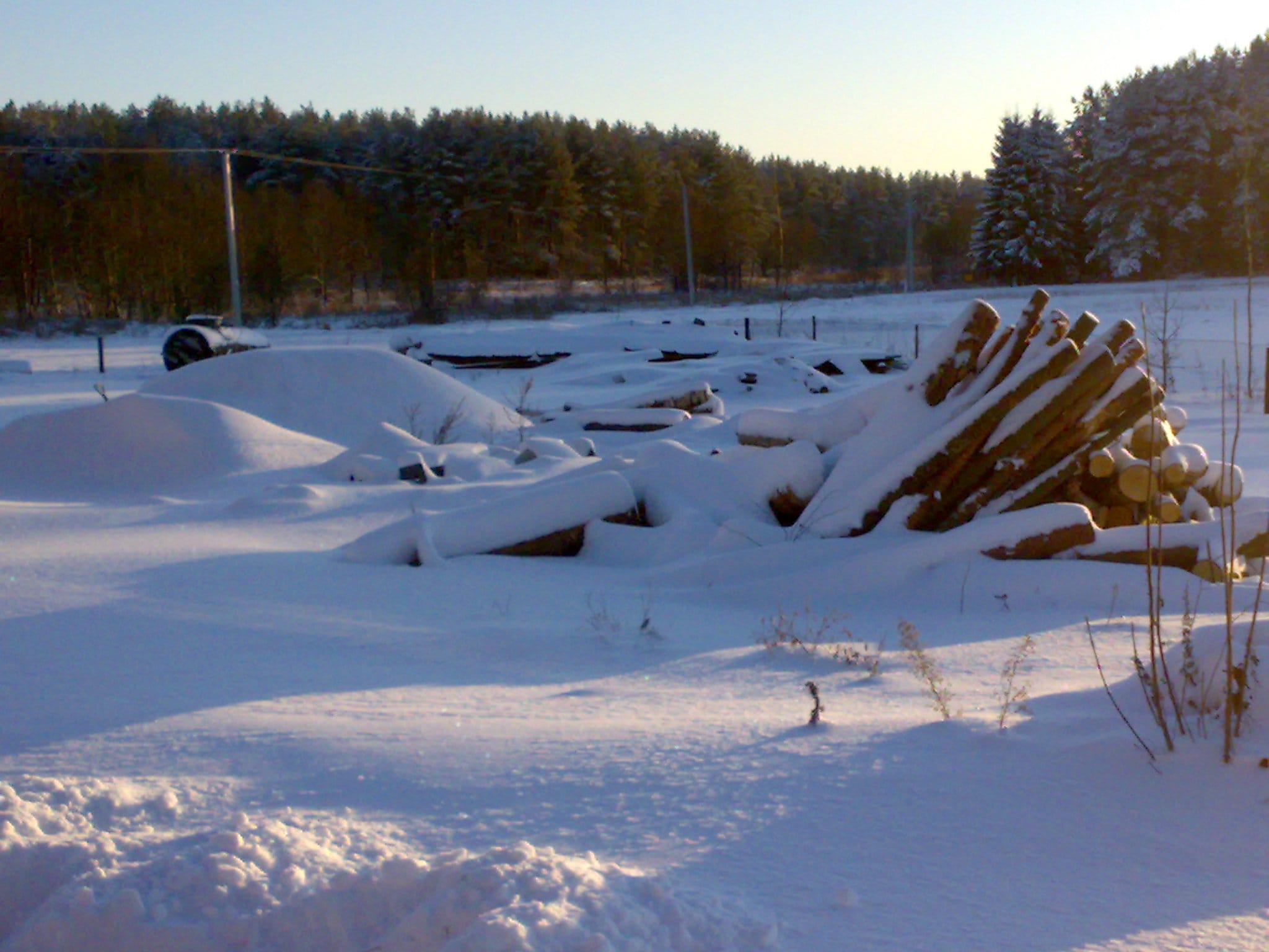Statybinė mediena po sniegu, 2009 m. žiema