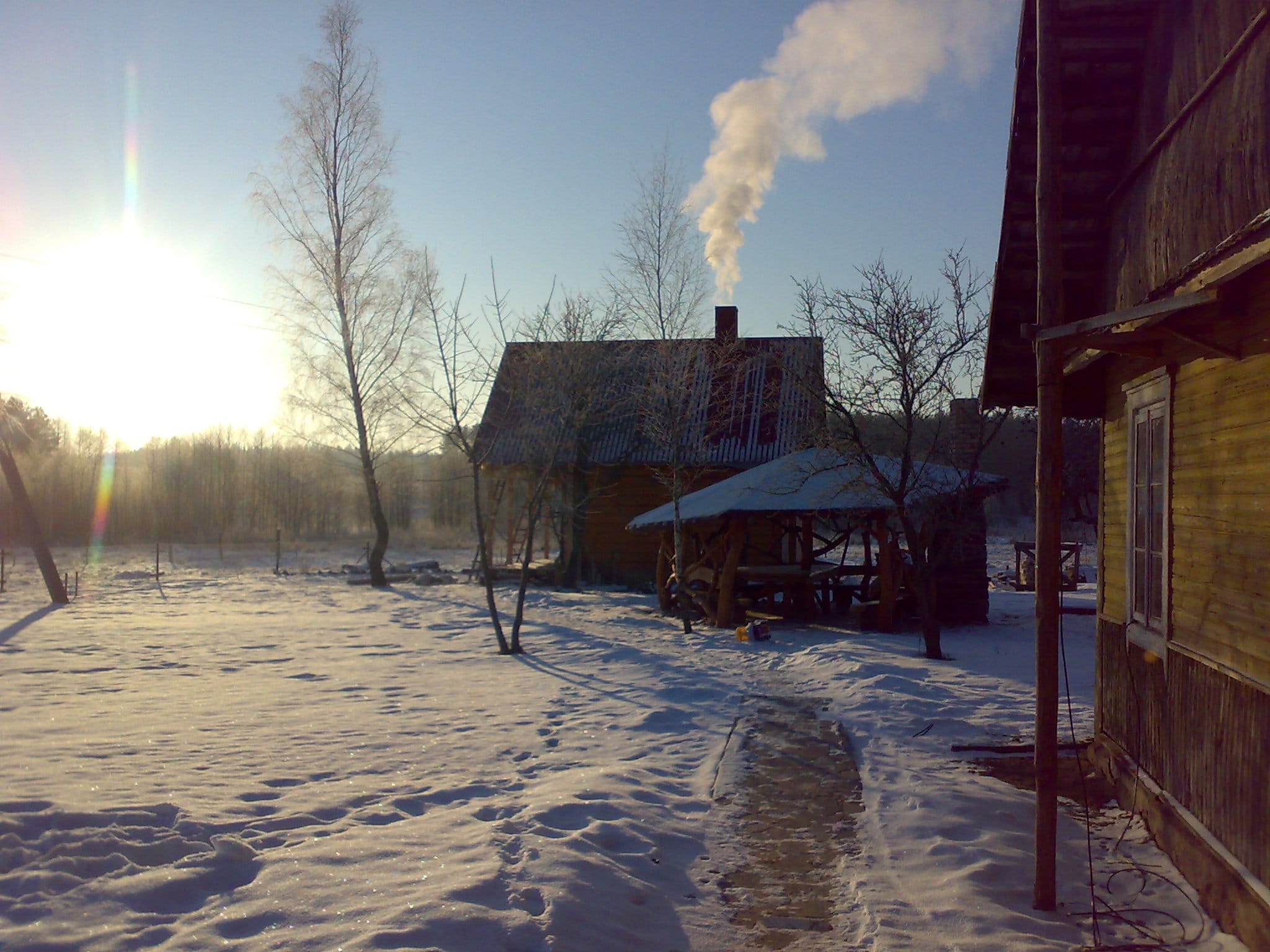 Sodyba žiemos saulėje, 2009 m.